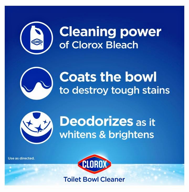 Clorox Toilet Bowl Cleaner with Bleach, Rain Clean 24 oz