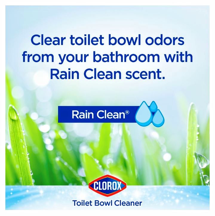 Clorox Toilet Bowl Cleaner with Bleach, Rain Clean 24 oz